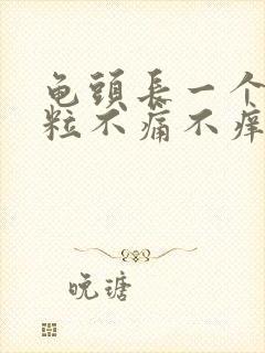 龟头长一个小肉粒不痛不痒