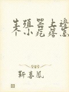 生殖器上边长了个小疙瘩怎么回事