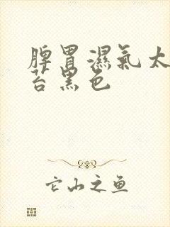 脾胃湿气太重舌苔黑色