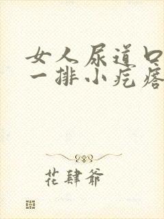 女人尿道口长了一排小疙瘩