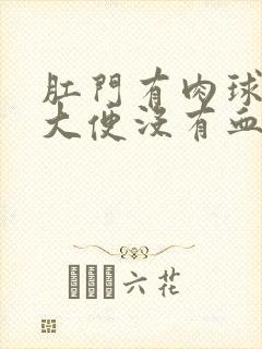 肛门有肉球但是大便没有血