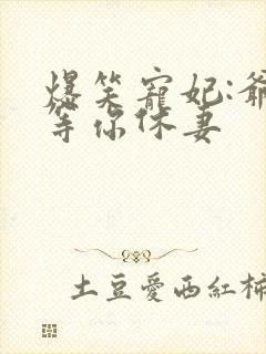 爆笑宠妃:爷我等你休妻