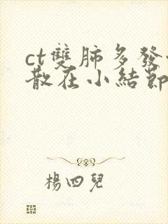 ct双肺多发性散在小结节影