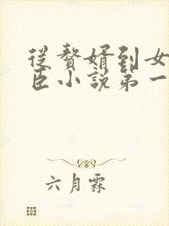 从赘婿到女帝宠臣小说第一部