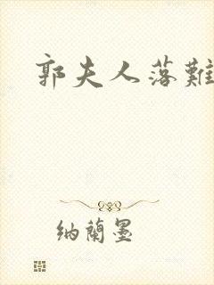 郭夫人落难封面