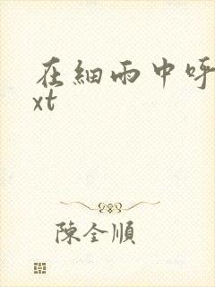 在细雨中呼喊txt