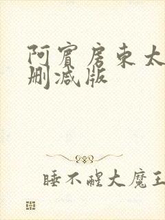 阿宾房东太太无删减版封面