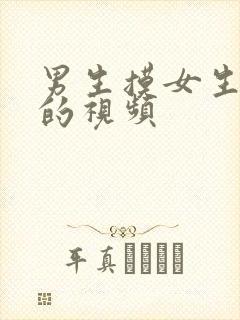 男生摸女生的胸的视频封面