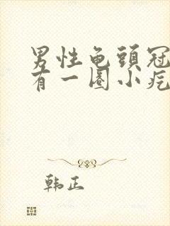 男性龟头冠状沟有一圈小疙瘩