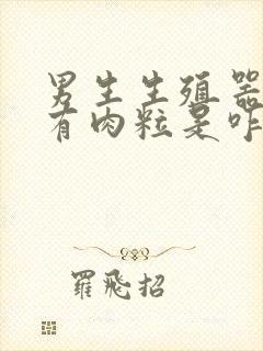 男生生殖器根部有肉粒是咋回事