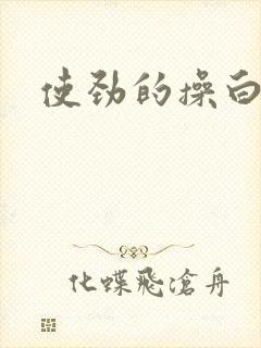 使劲的操白虎逼