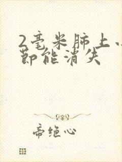 2毫米肺上小结节能消失