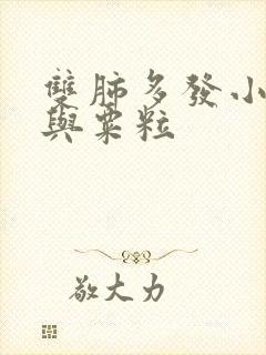 双肺多发小结节与粟粒