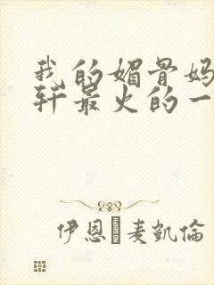 我的媚骨妈妈林轩最火的一句封面