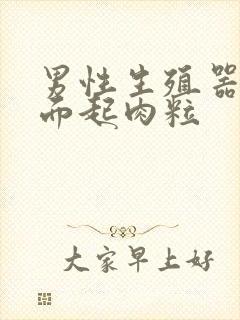 男性生殖器口表面起肉粒