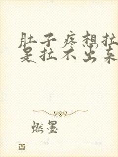 肚子疼想拉屎但是拉不出来是怎么回事