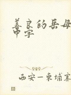 善良的岳母电影中字