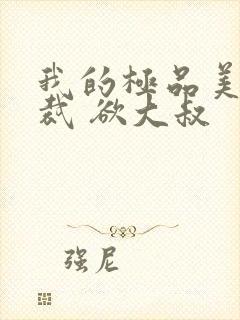 我的极品美女总裁 欲大叔封面