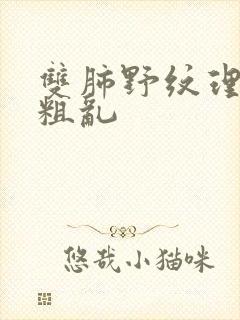 双肺野纹理增多粗乱