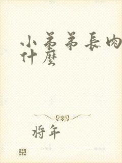 小弟弟长肉粒是什么