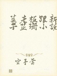 菜老板跟新婚妻子芷珊小说封面