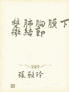 双肺胸膜下多发微结节