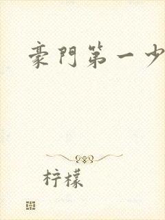 豪门第一少夫人封面