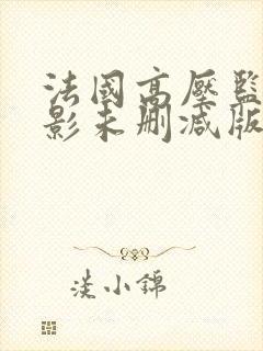 法国高压监狱电影未删减版