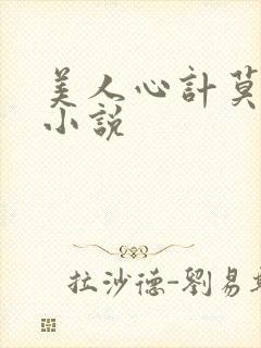 美人心计莫雪鸢小说