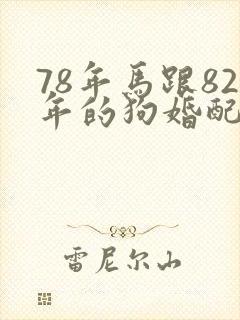 78年马跟82年的狗婚配怎么样