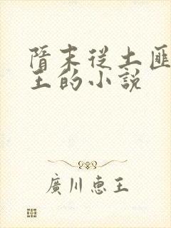 隋末从土匪到帝王的小说封面