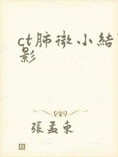 ct肺微小结节影封面