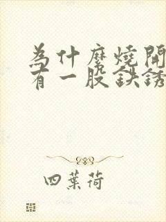 为什么烧开的水有一股铁锈味