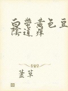 白带黄色豆腐渣阴道痒