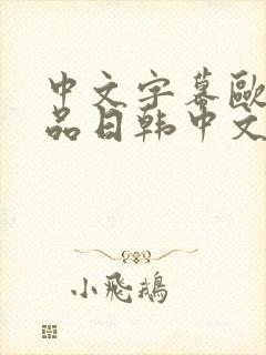 中文字幕欧美精品日韩中文字幕