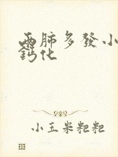 两肺多发小结节钙化