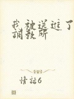 我被送进了私奴调教所封面