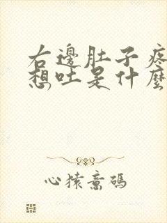 右边肚子疼恶心想吐是什么原因