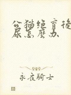 公猫绝育后还乱尿怎么办