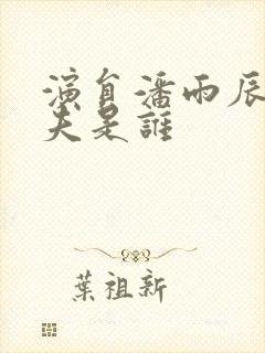 演员潘雨辰的丈夫是谁