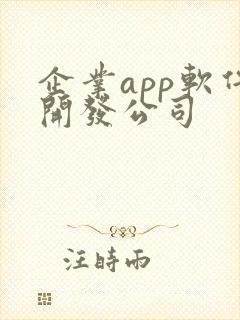 企业app软件开发公司