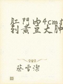 肛门内4cm摸到黄豆大肿块