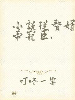 小说从赘婿到女帝宠臣,