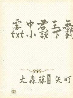 雾中君王无和谐txt小说下载