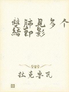 双肺见多个微小结节影