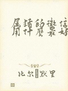 属猪的微信头像用什么最好