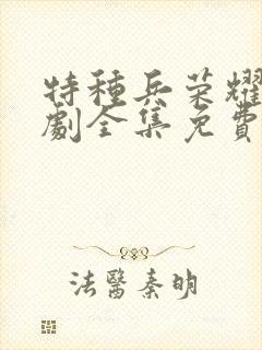 特种兵荣耀电视剧全集免费观看封面