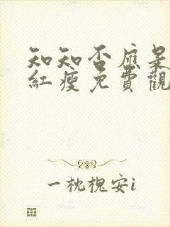 知知否应是绿肥红瘦免费观看