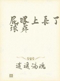 屁眼上长了个肉球疼封面