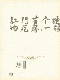 肛门有个硬硬的肉疙瘩,一碰会疼封面